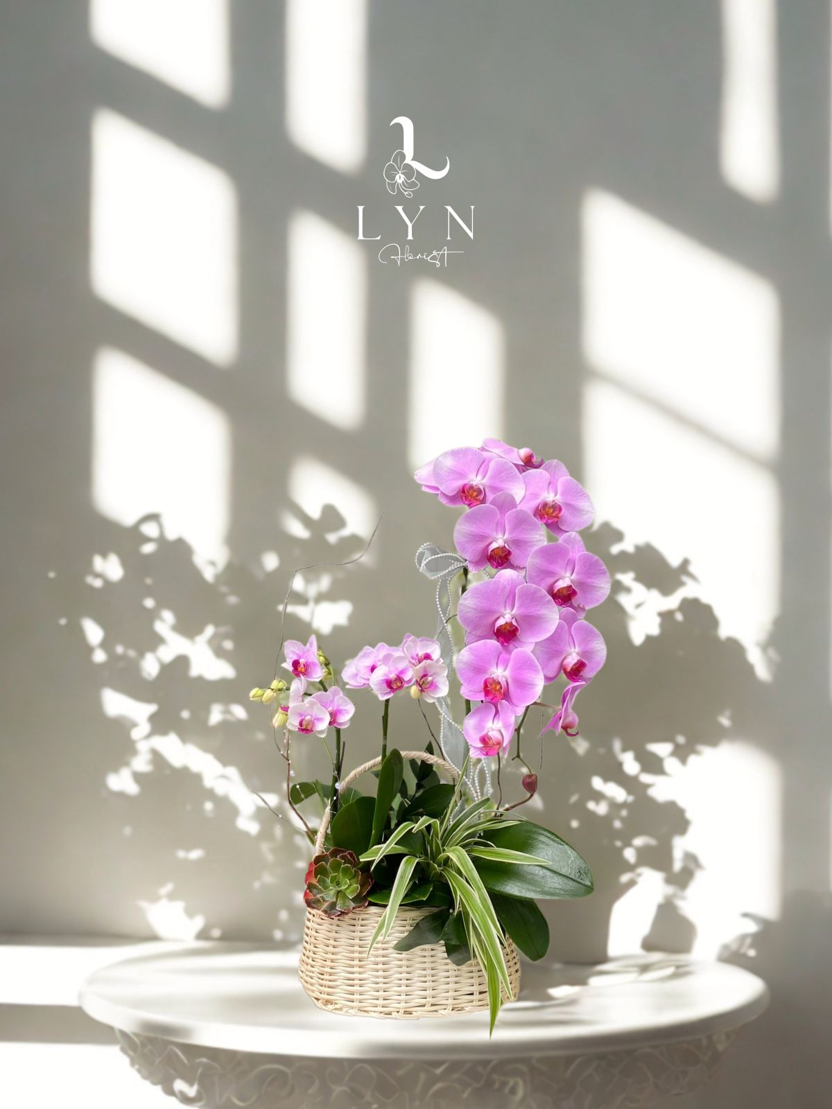 Giỏ Hoa Lan Hồng Phối Tiểu Hồ Điệp